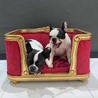 Cama Pet Infantil - Exclusiva em Madeira Entalhada Sob Encomenda