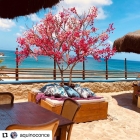 EVENTOS E RESTAURANTES 