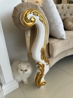 Sofá Clássico Curvo Design Francês 