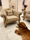 Poltrona Francesa Entalhada - Modelo Exclusivo Decoração Móveis 