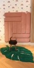 Banquinho Animais - Decoração Móveis
