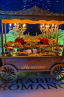 Carrinho Nicolicht Gourmet Para Eventos